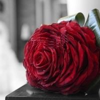 rosmelia roja hojas