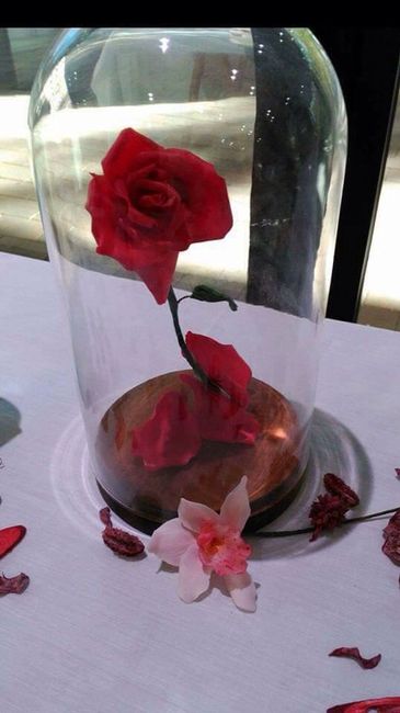 Rosa bella y bestia - 1