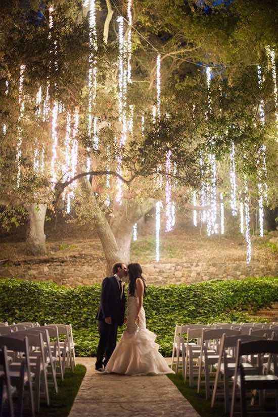 arbol y luces