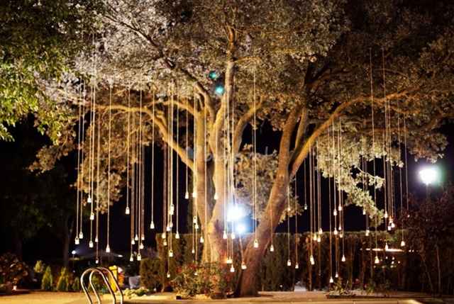 arbol con luces ceremonia