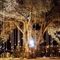 arbol con luces ceremonia