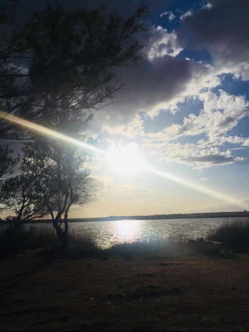 Bueno como os prometí ayer os pongo fotos de la postboda 😁 espero que os gusten - 25
