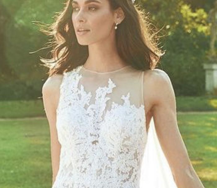 ¡El vestido perfecto de la comunidad! - El escote perfecto (2) - 3