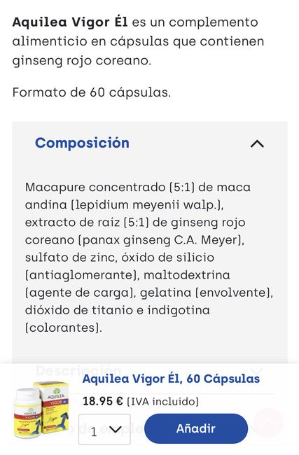 Buscadoras más de 1 año - 2022 - 1
