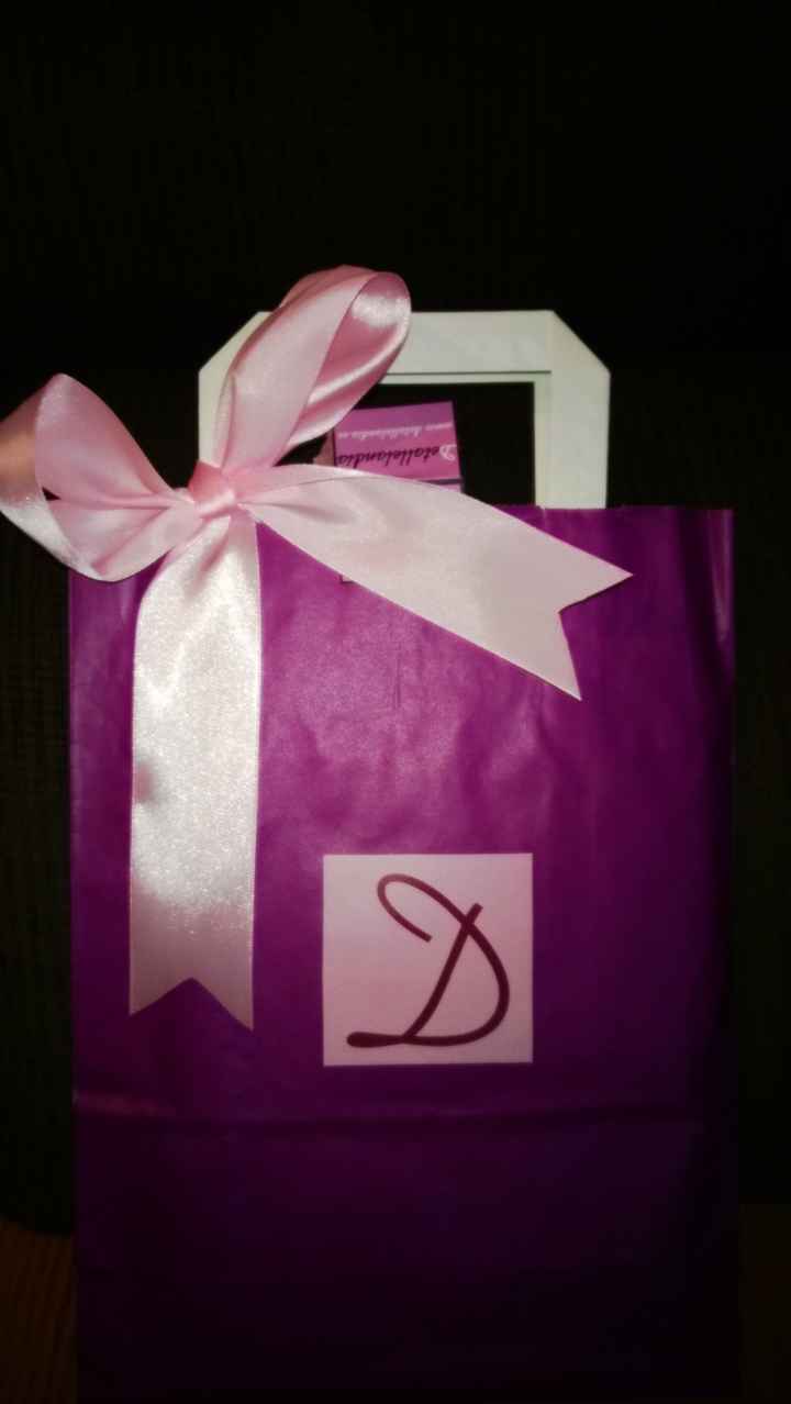 BOLSA DEL ORGANIZADOR