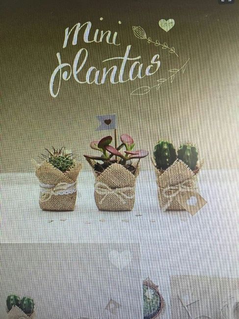 Detalle para las mujeres - 1