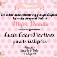 Duda pajes/damitas e ideas diploma - 1