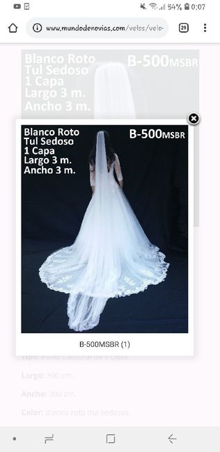 Velo completamente liso y blanco - 1
