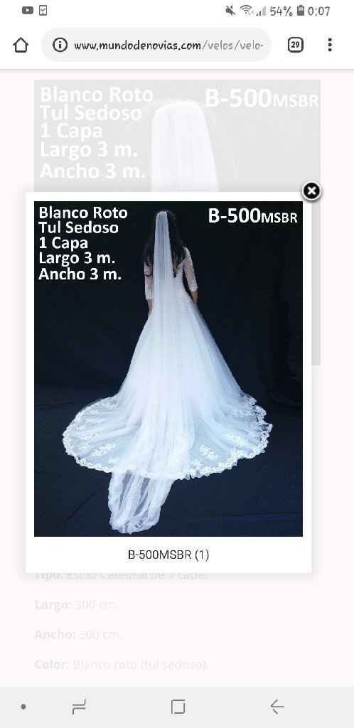 Velo completamente liso y blanco - 1