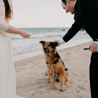 Postboda - 7