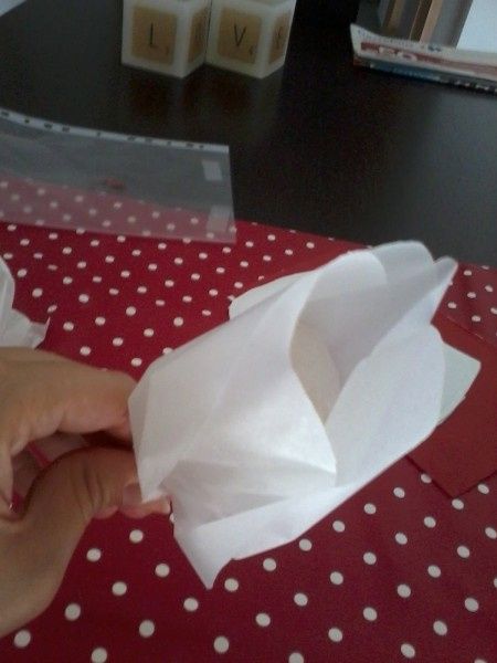 Tutorial flores de arroz de papel de seda