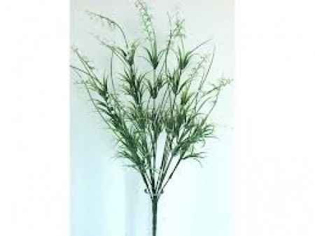 Flores de invierno: statis