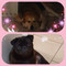 Lesly