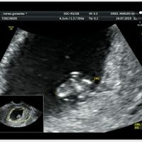 Mamas Marzo 2020 - 1