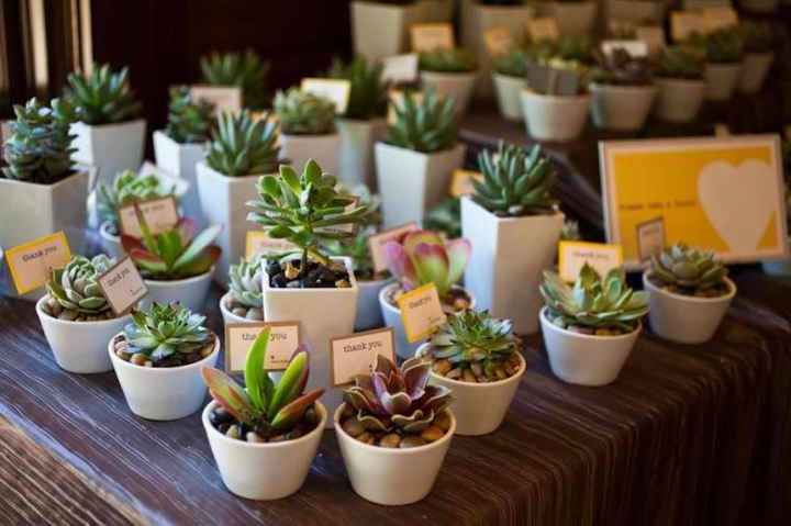 Plantas como agradecimiento
