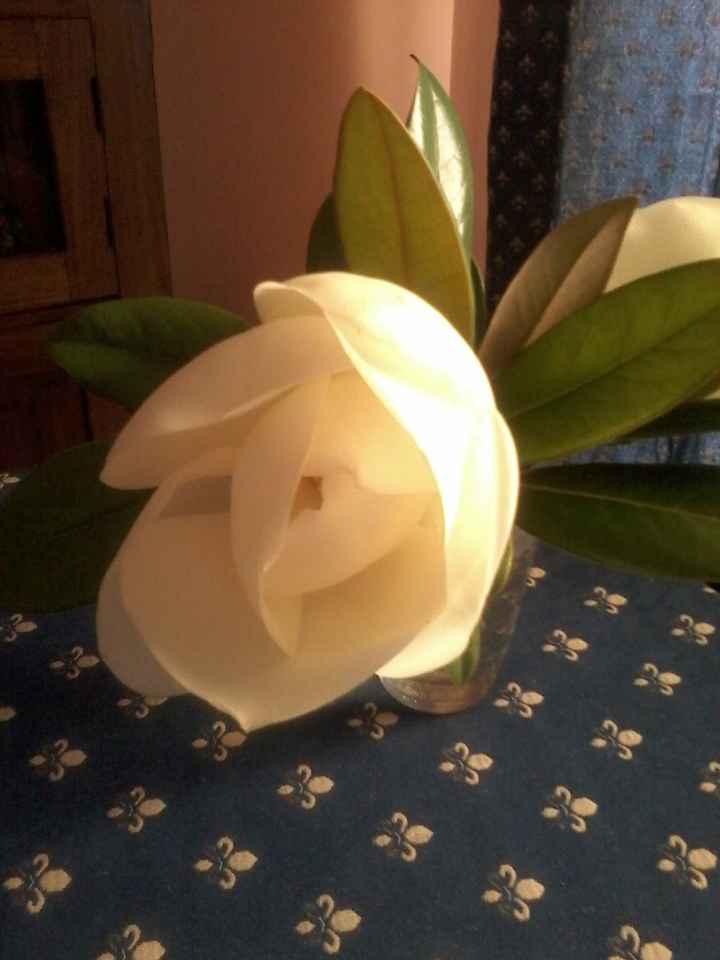 flor blanca