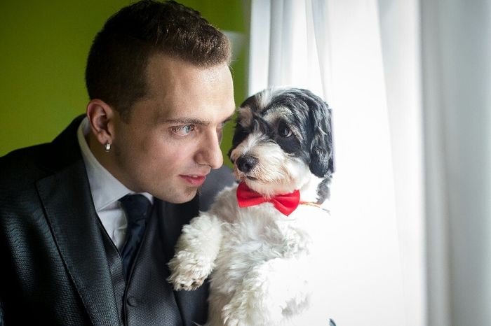 Quiero que mi perrita participe en la boda - 1