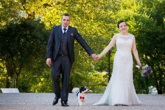 Quiero que mi perrita participe en la boda - 2