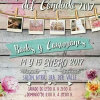 Feria de boda 2017 - 1