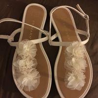 Compritas Bodiles - 3