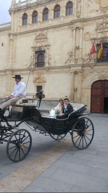 El dilema de Vanessa ¿coche de caballos sí o no? 1