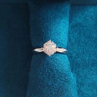 ¿Hubo anillo de compromiso? - 1