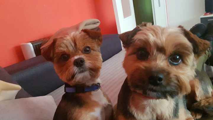Mis marujones 