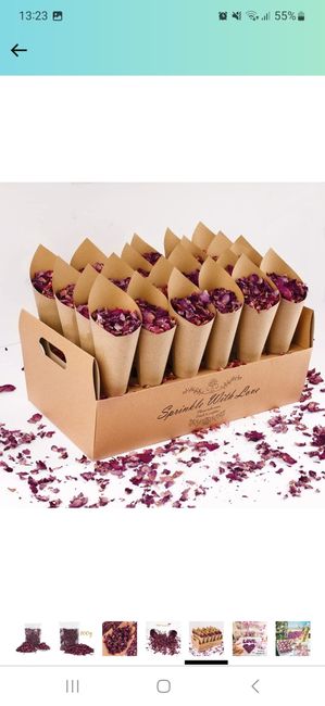 Petalos y conos 2