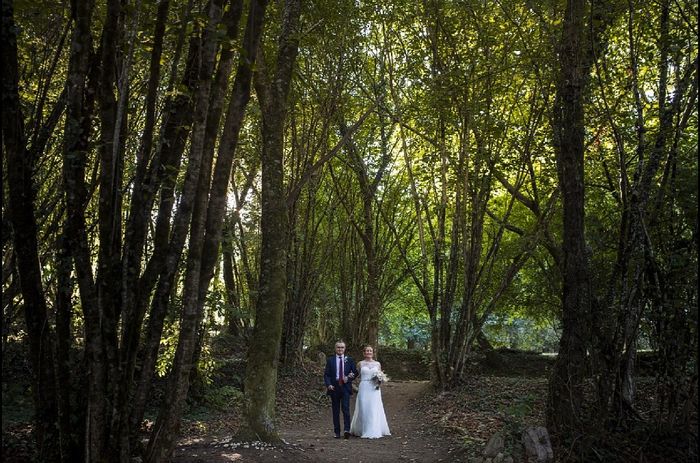 Boda en la naturaleza. 🌲 15