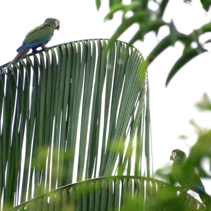 Colombia - 1