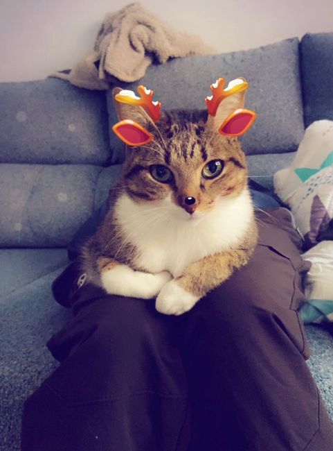 ⭐️hoy carta hacia Laponia!!🎄¿que le habéis pedido a Papá Noel? 😍😍 🎅 🎁 3
