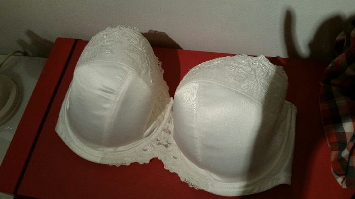 Ya tengo ropa interior!!! - 2