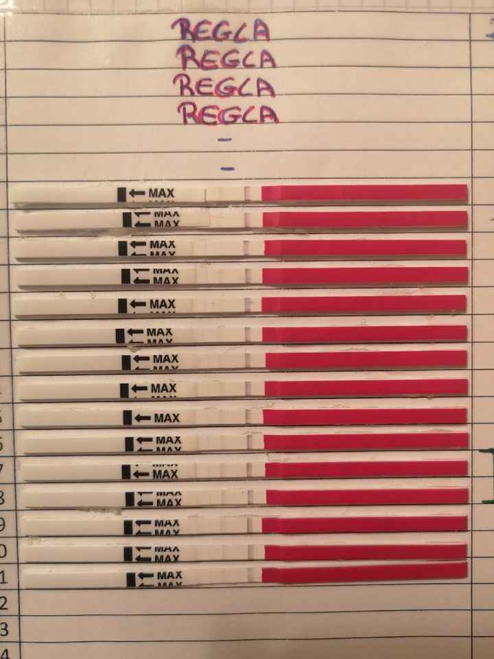 Mejor marca de test de ovulación? - 1