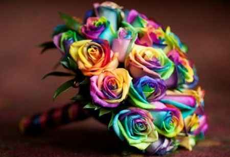 ROSAS ARCO IRIS
