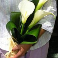 calas