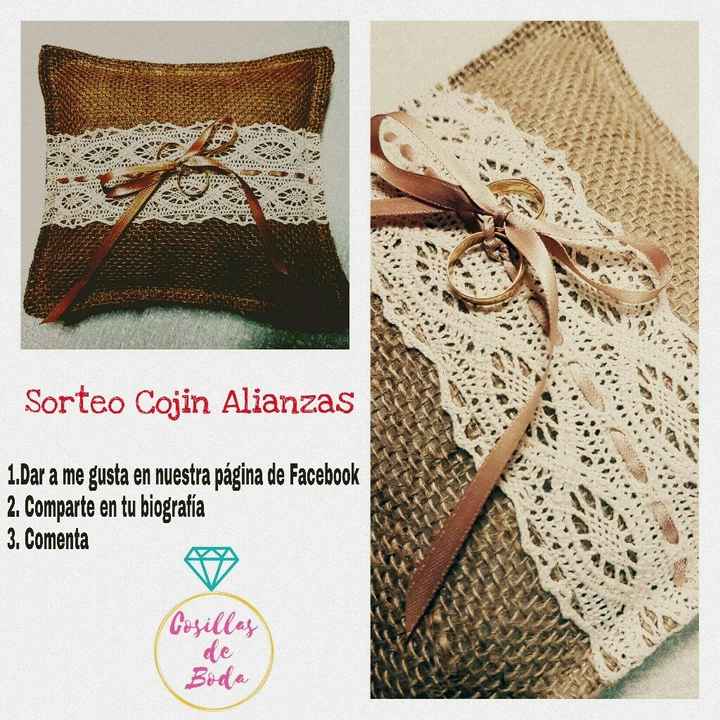 Cojin alianzas - 1