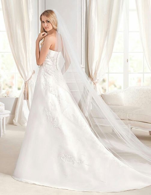 ¿os apresurasteis en conseguir el vestido? - 2