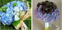 Ramosss
