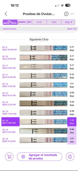Buscadoras Septiembre 2025🌹💐 1