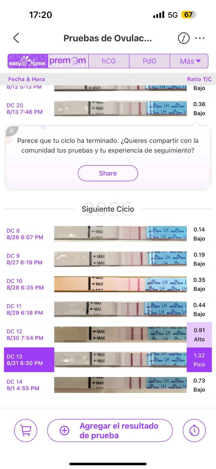 Buscadoras Septiembre 2025🌹💐 - 1