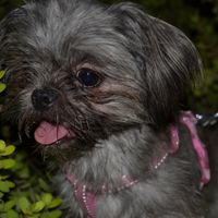 Hannah