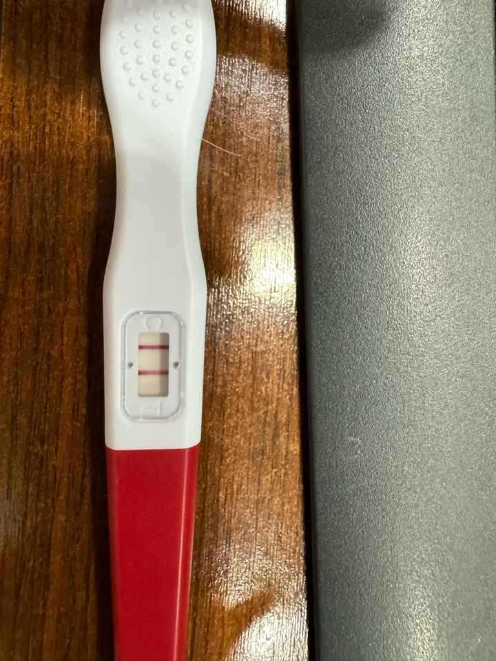 Futuras mamás febrero 2025 - 1