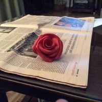 Primera flor