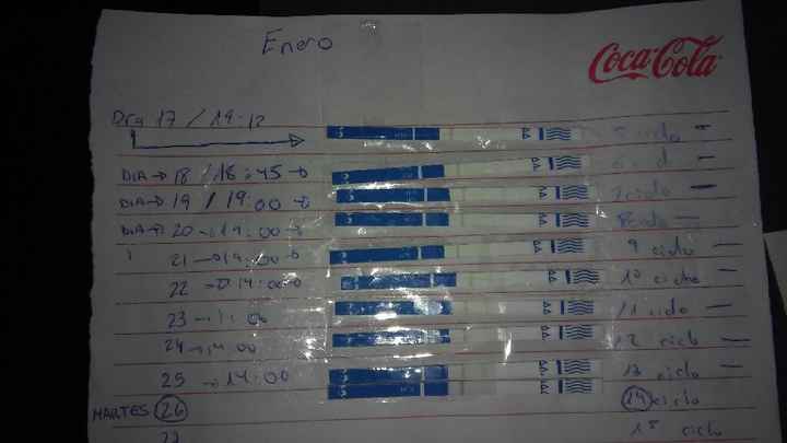 Resuelvo dudas sobre los to (test de ovulacion) - 1