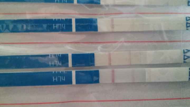 Resuelvo dudas sobre los to (test de ovulacion) - 1