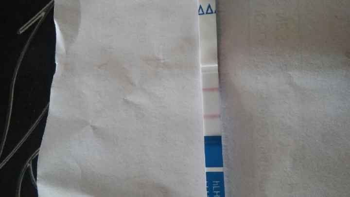 Resuelvo dudas sobre los to (test de ovulacion) - 1