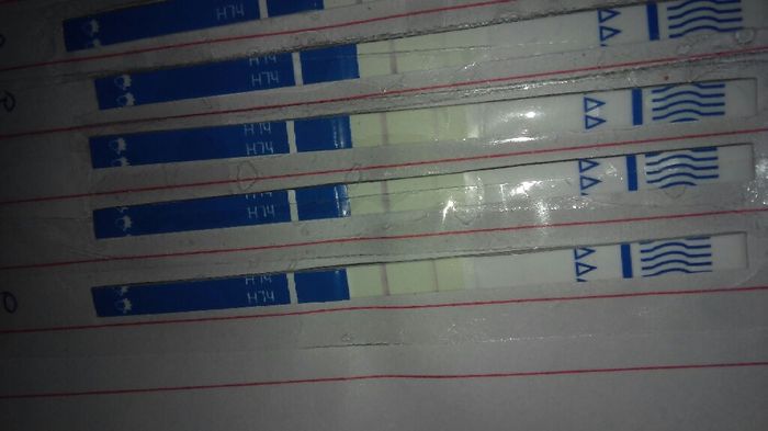 Resuelvo dudas sobre los to (test de ovulacion) - 1