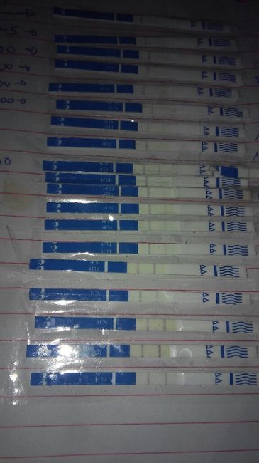 Resuelvo dudas sobre los to (test de ovulacion) - 1