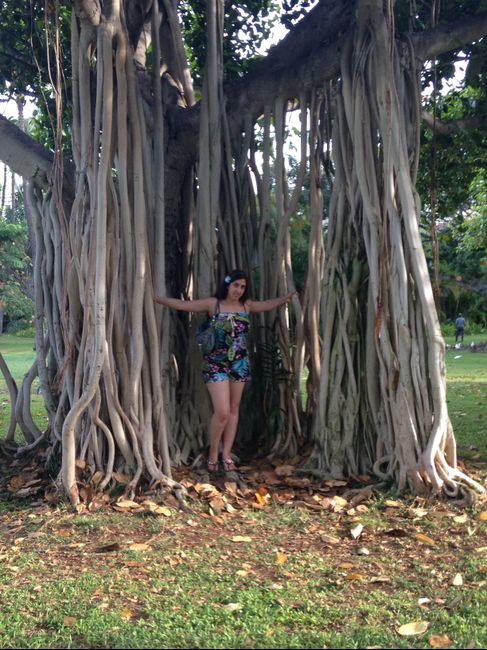 hawaii, oahu