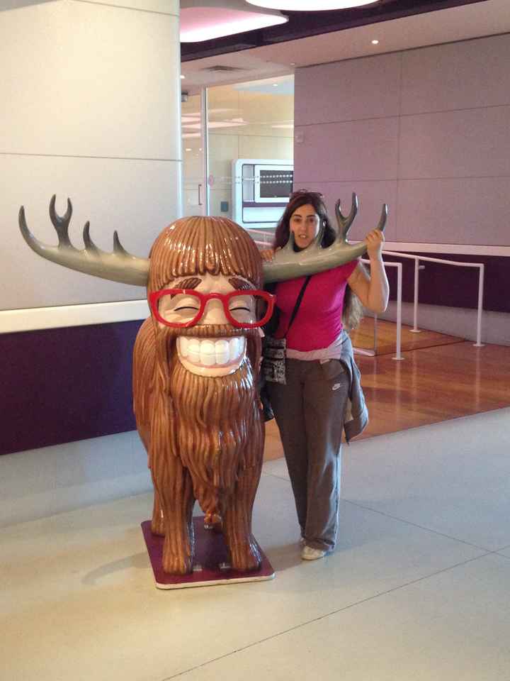 receccion yotel